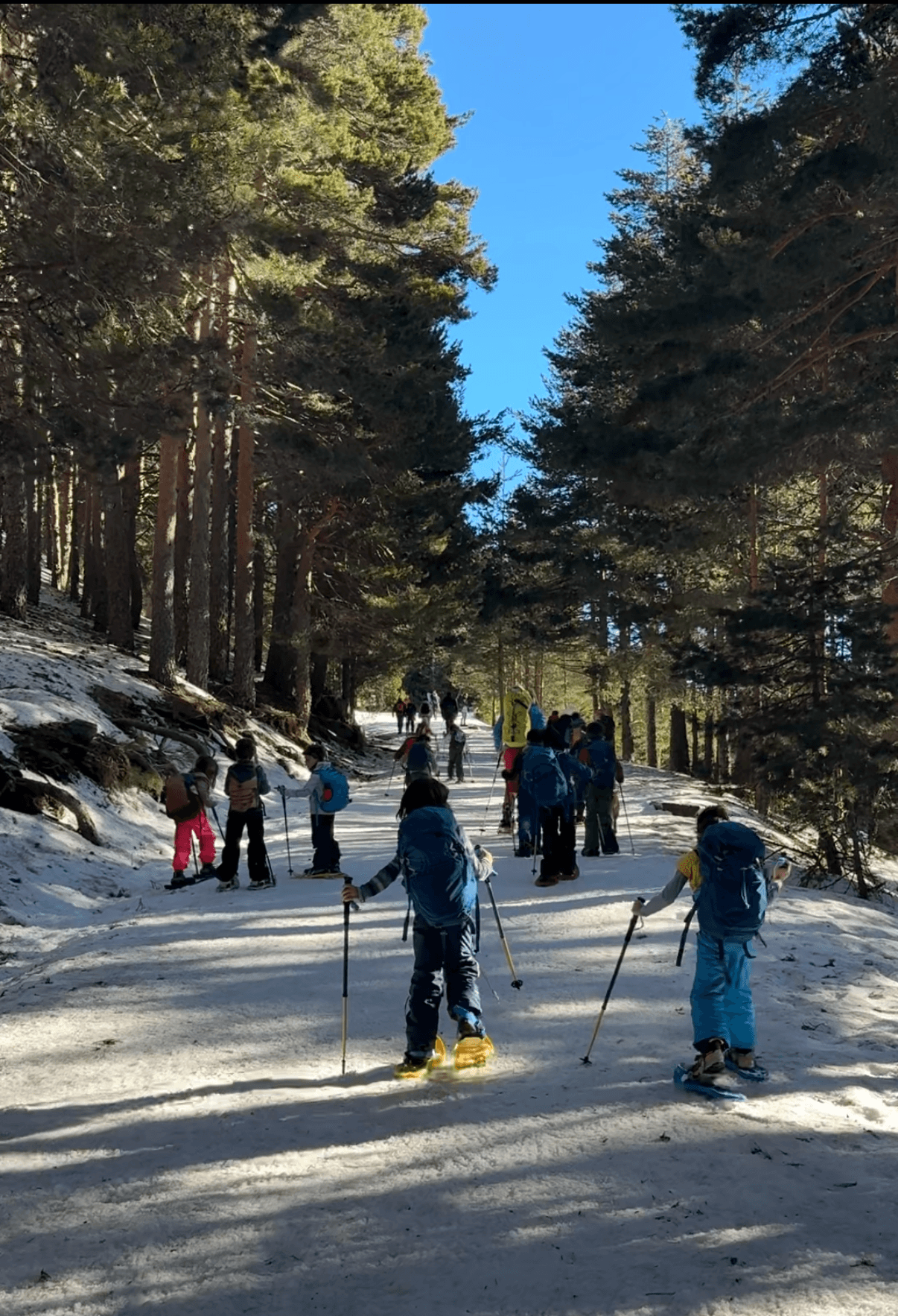 Hikers on the snowy trail